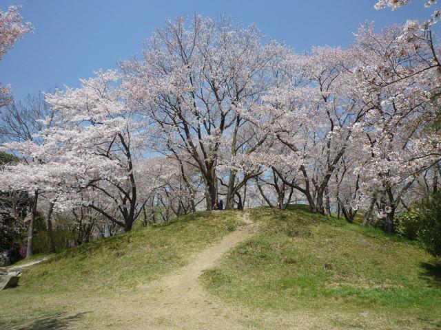 Handayama Botanical Garden